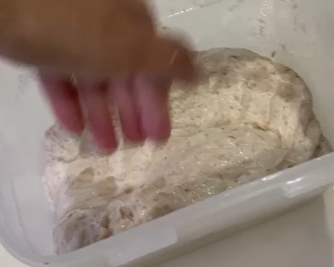 基础欧包免揉面团的冷藏发酵的做法 步骤6