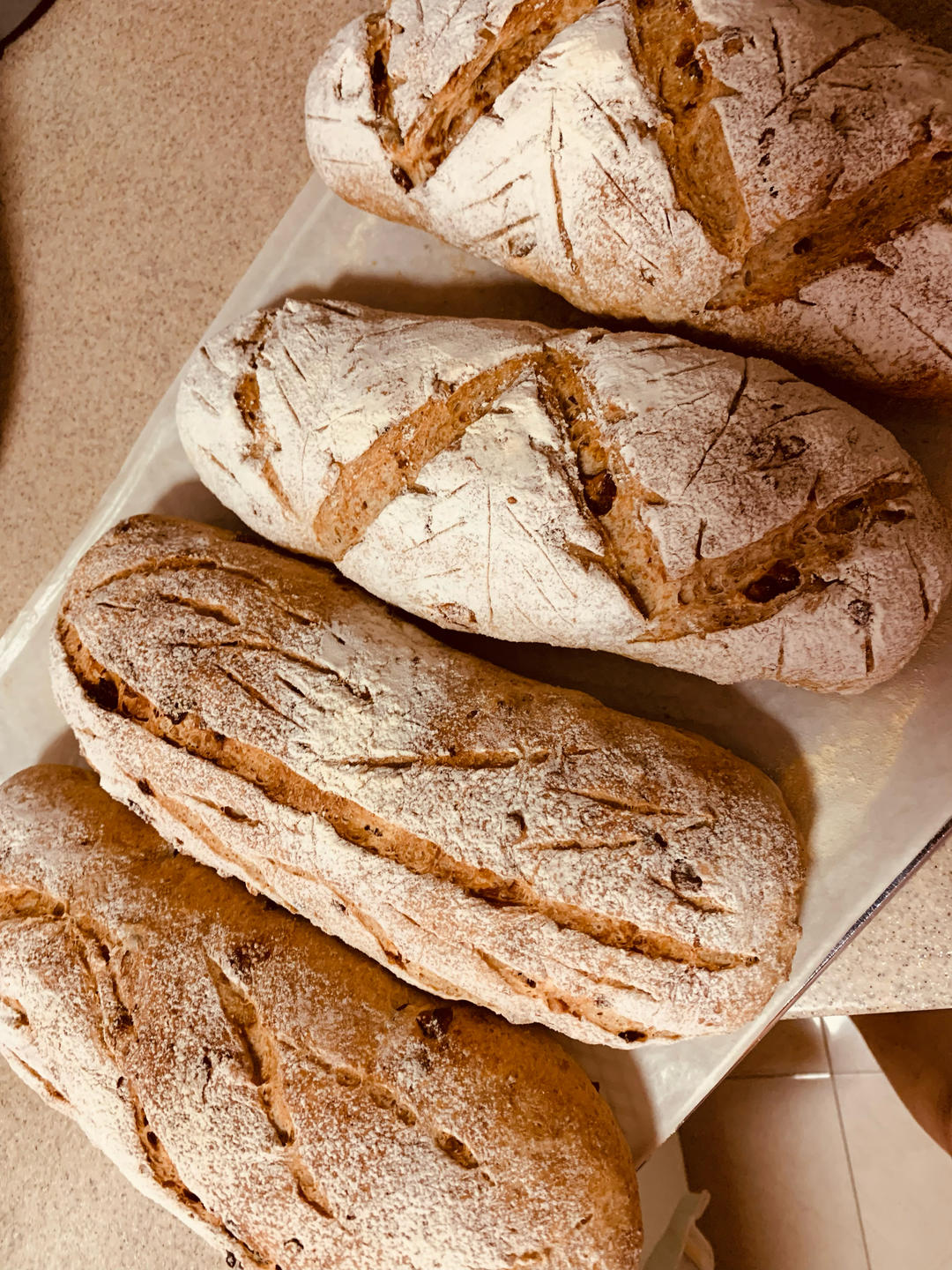 全麦核桃包～软欧包