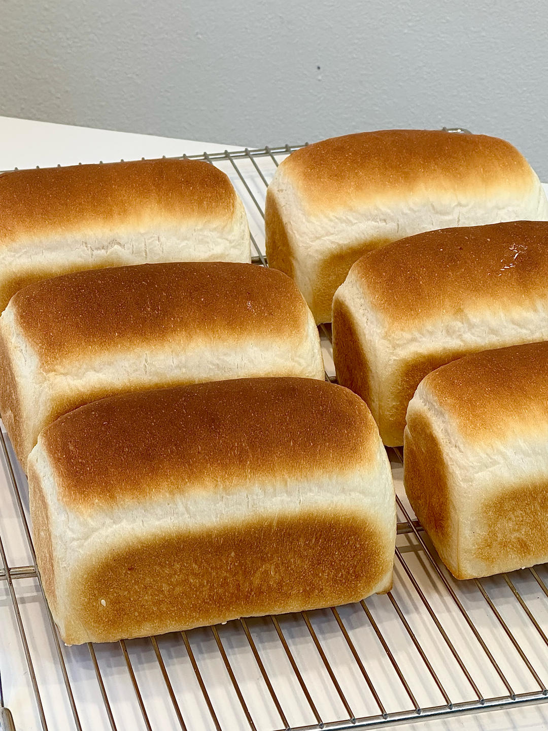 可口可爱，奶盐小胖枕