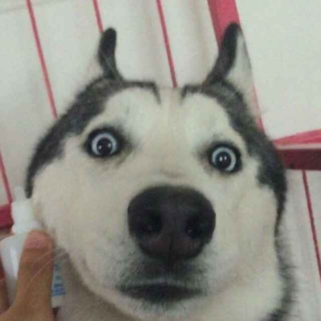 我有把吉他