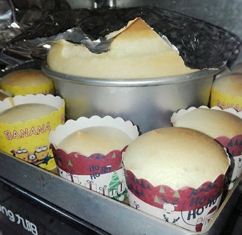 点滴生活，芬芳依然⁎˚♫