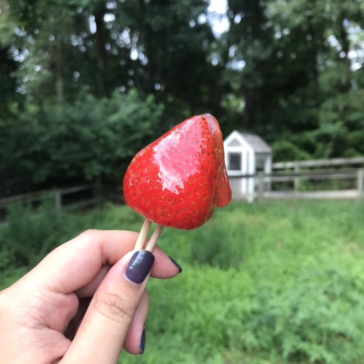 堂妈教你做冰糖葫芦