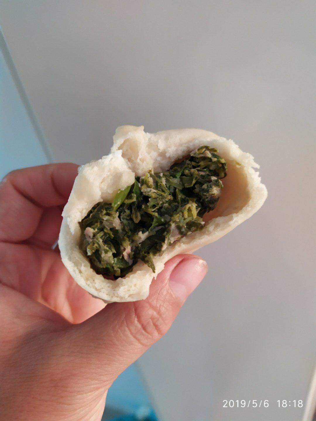 堂妈教你山菜鲜肉大包子