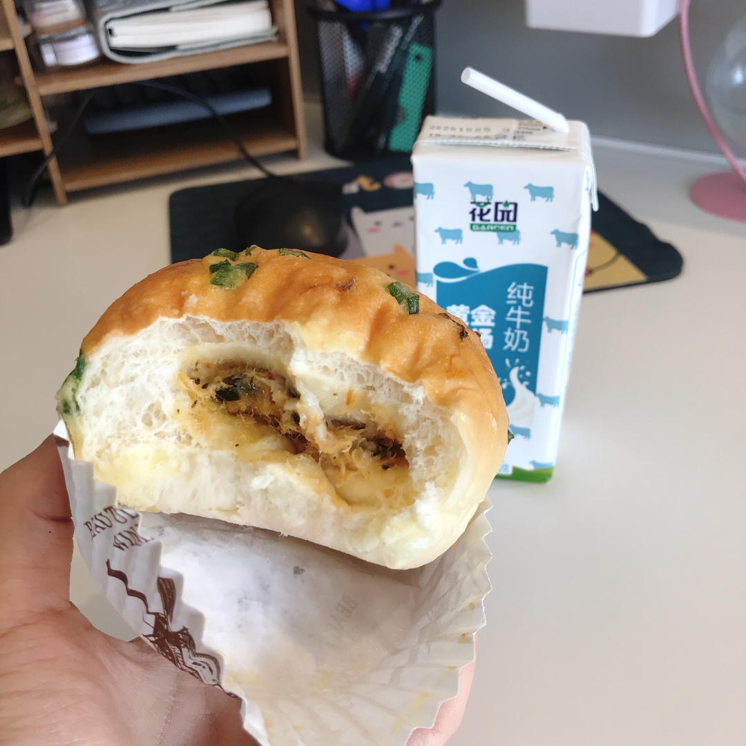 葱香肉松墨西哥面包（波兰种+烫种）
