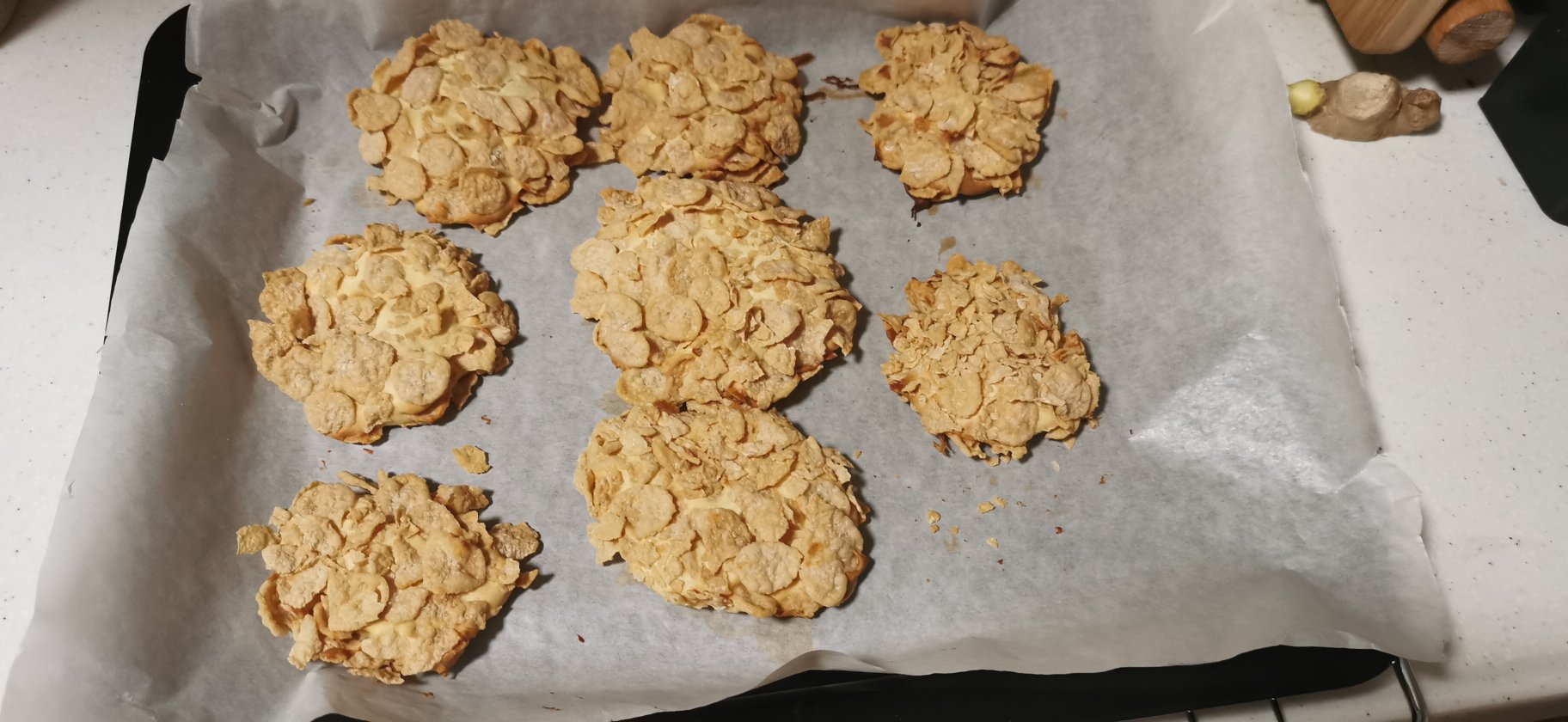 无数次翻牌の ·燕麦饼干🍪