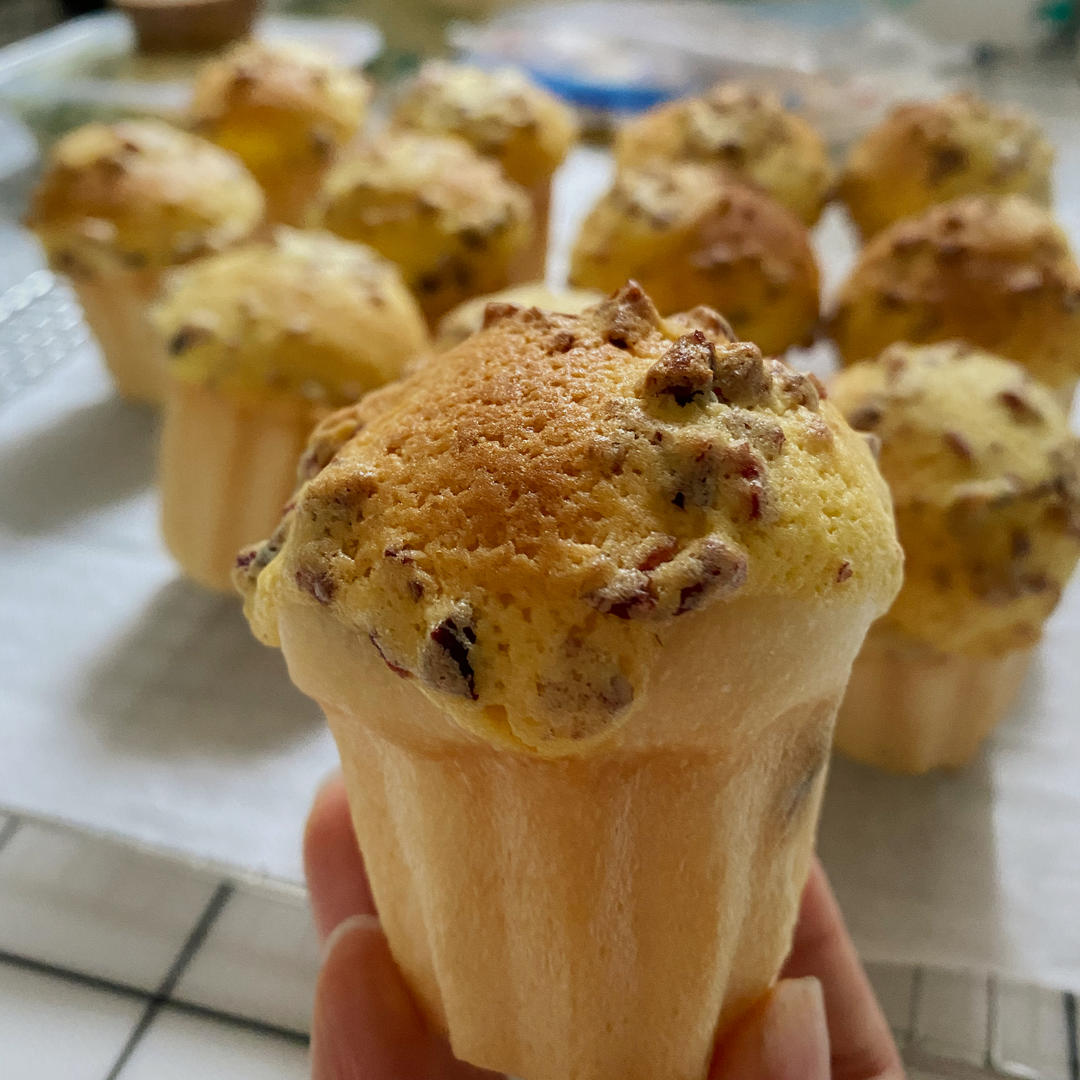 蔓越莓墨西哥面包｜小蘑菇牛奶面包｜一次发酵