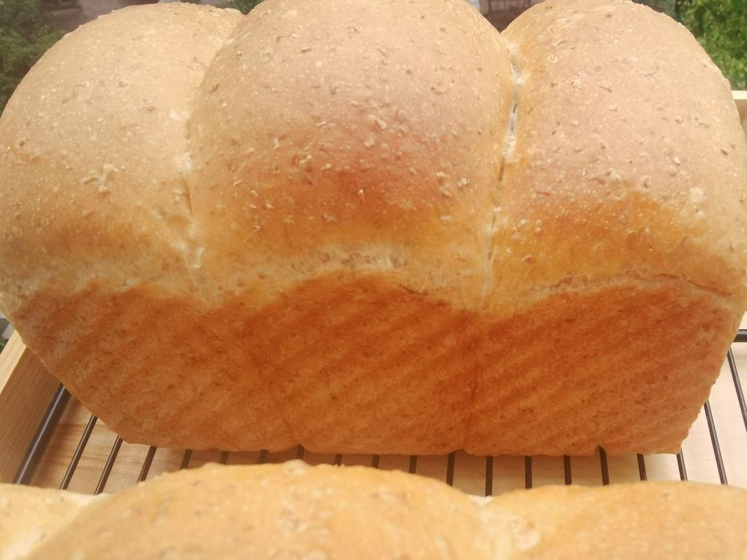 Magimix玛捷斯·超好吃的全麦吐司