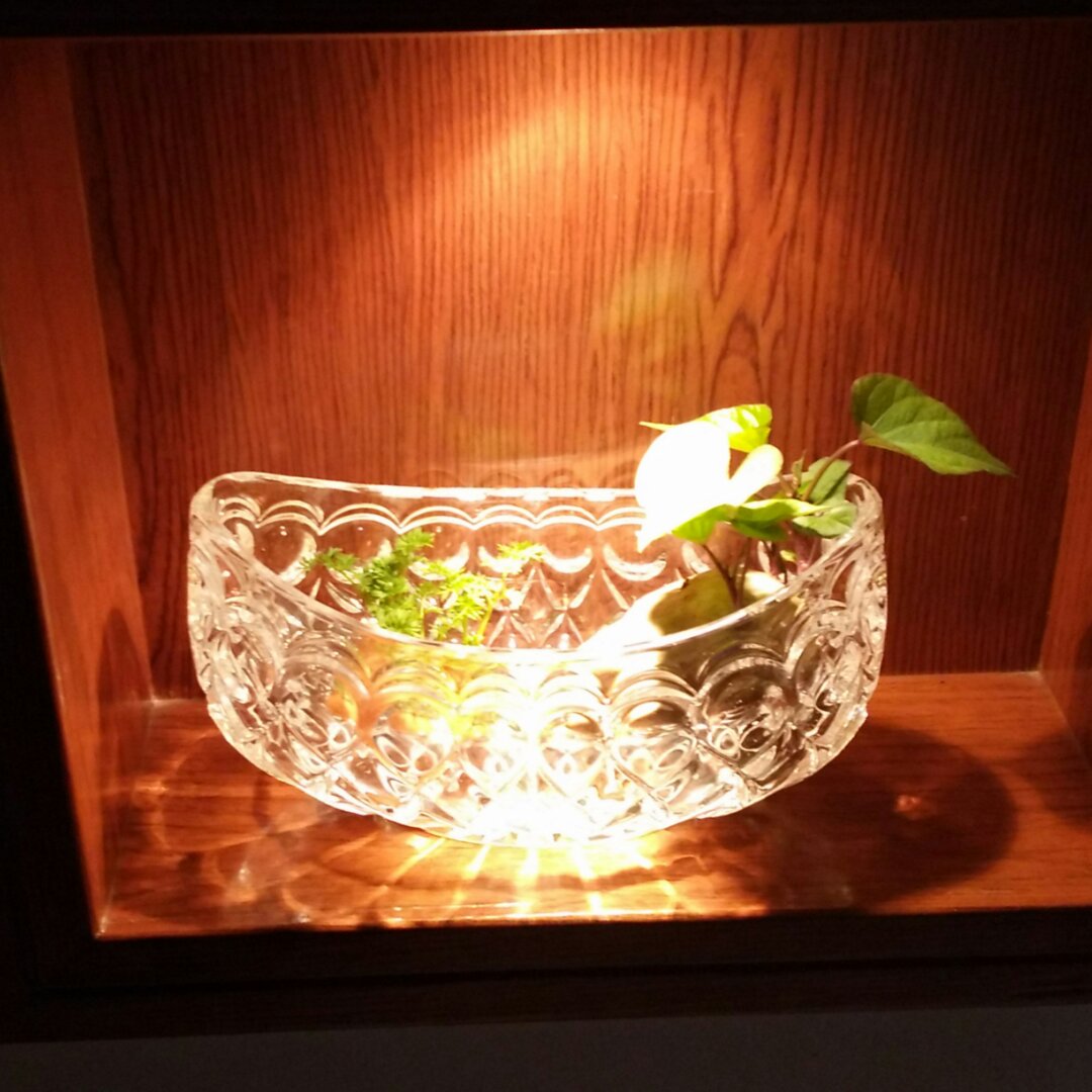 蝶迷花