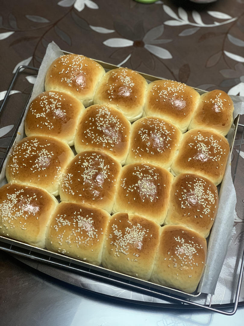 牛奶肉松小餐包（一次发酵）