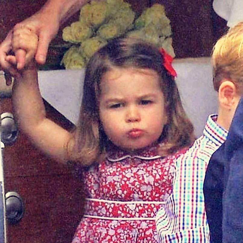 青年发福的大壮