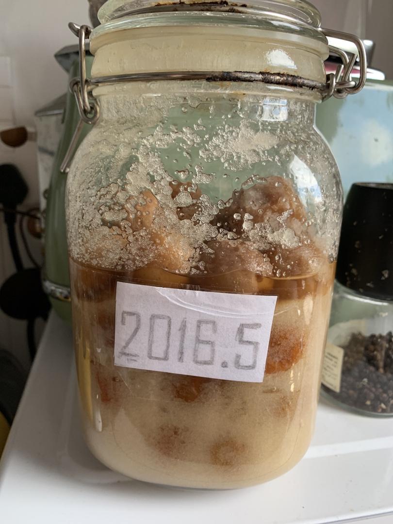 老中医推荐的止咳化痰咸金桔