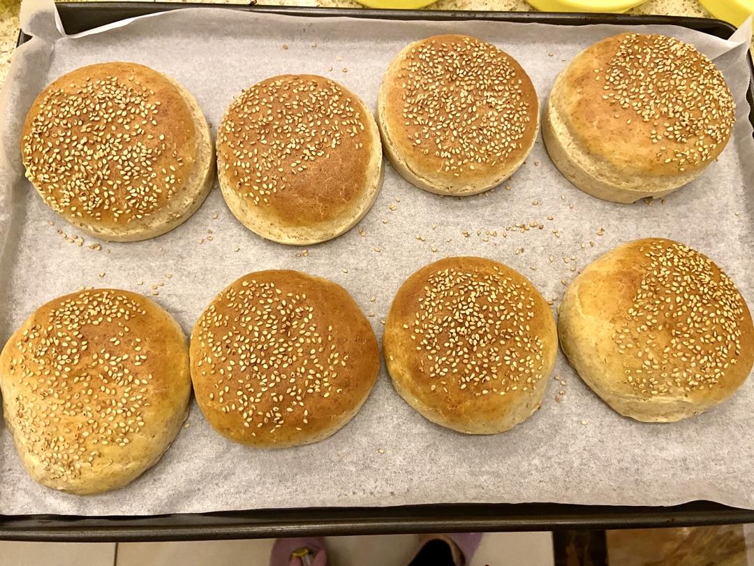 记录一个超级软的万用汉堡胚（波兰种）