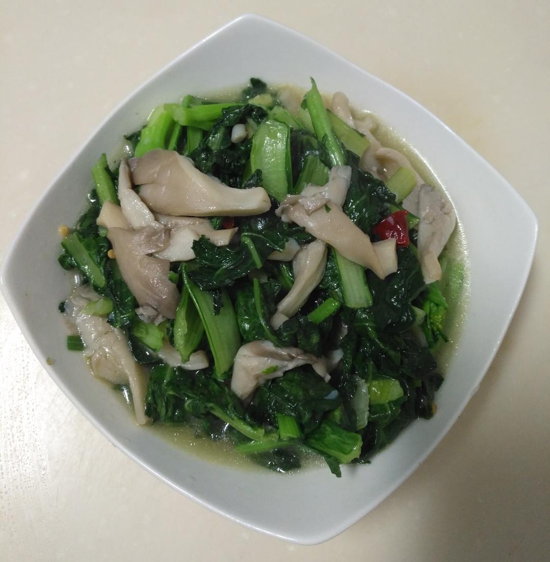油菜炒平菇的做法