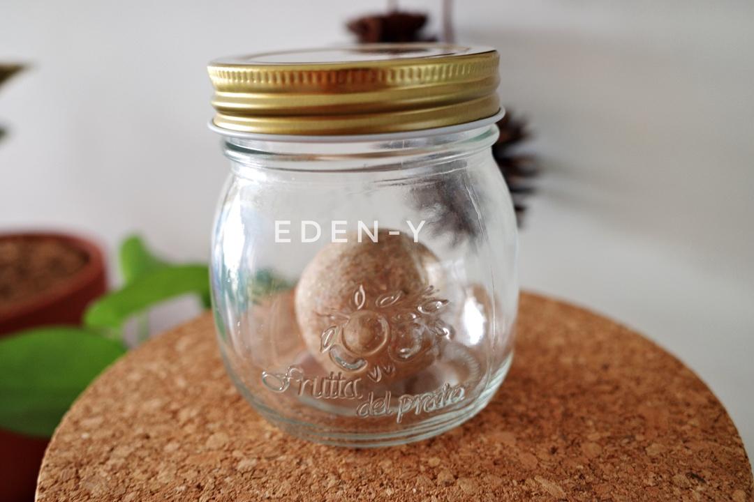 天然酵种长期保存方法 两种