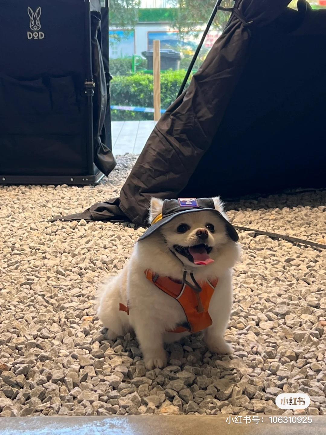 糯米木薯麻版麻薯包的做法