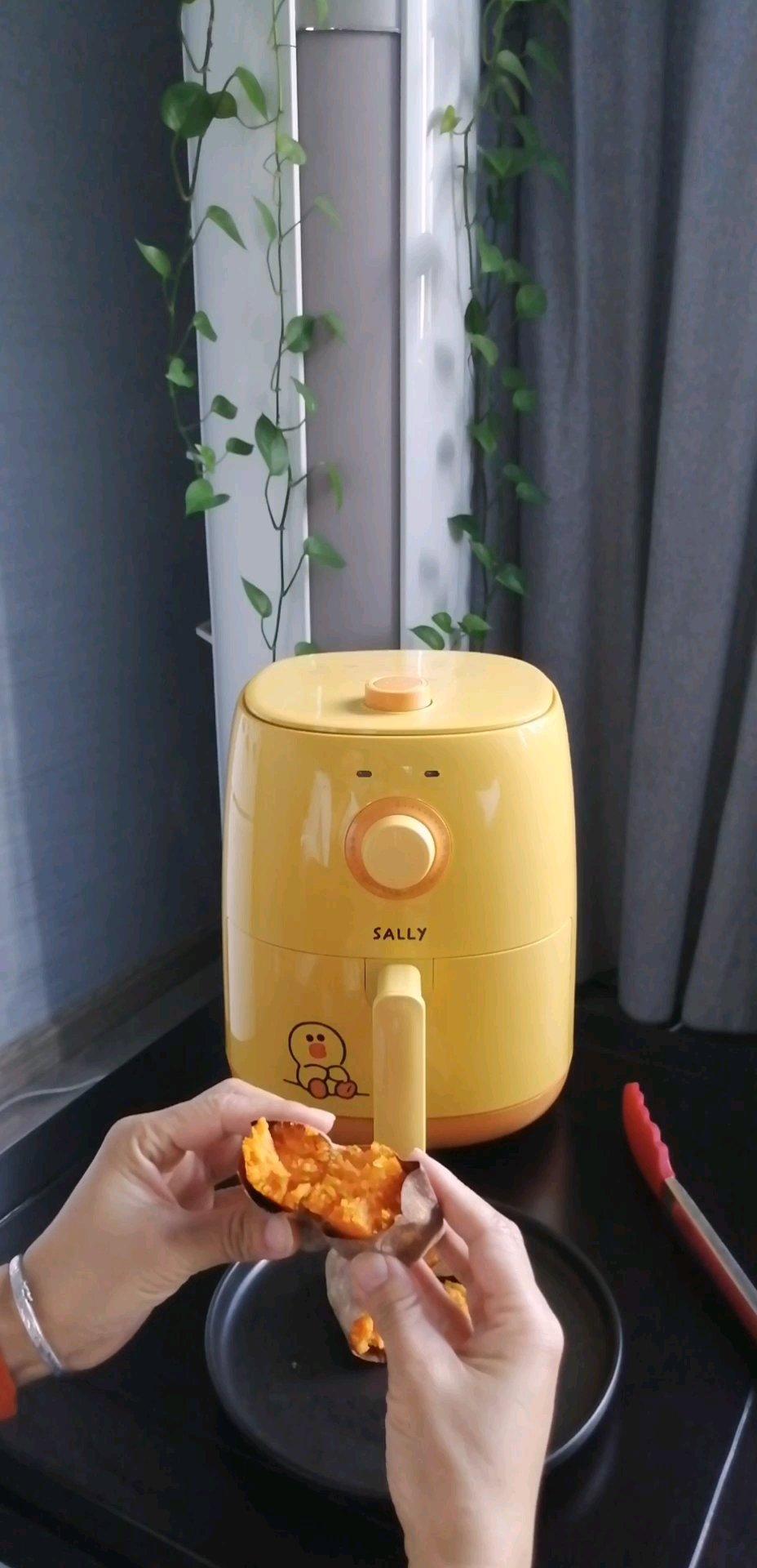 香甜软糯 烤红薯 | 北鼎烤箱版