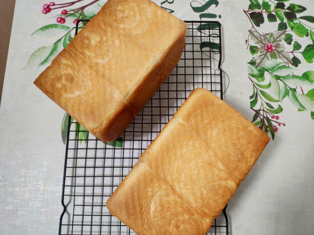 100%全麦鸡蛋吐司 直接法 王后细麸细粒 纯全麦依然软到下腰