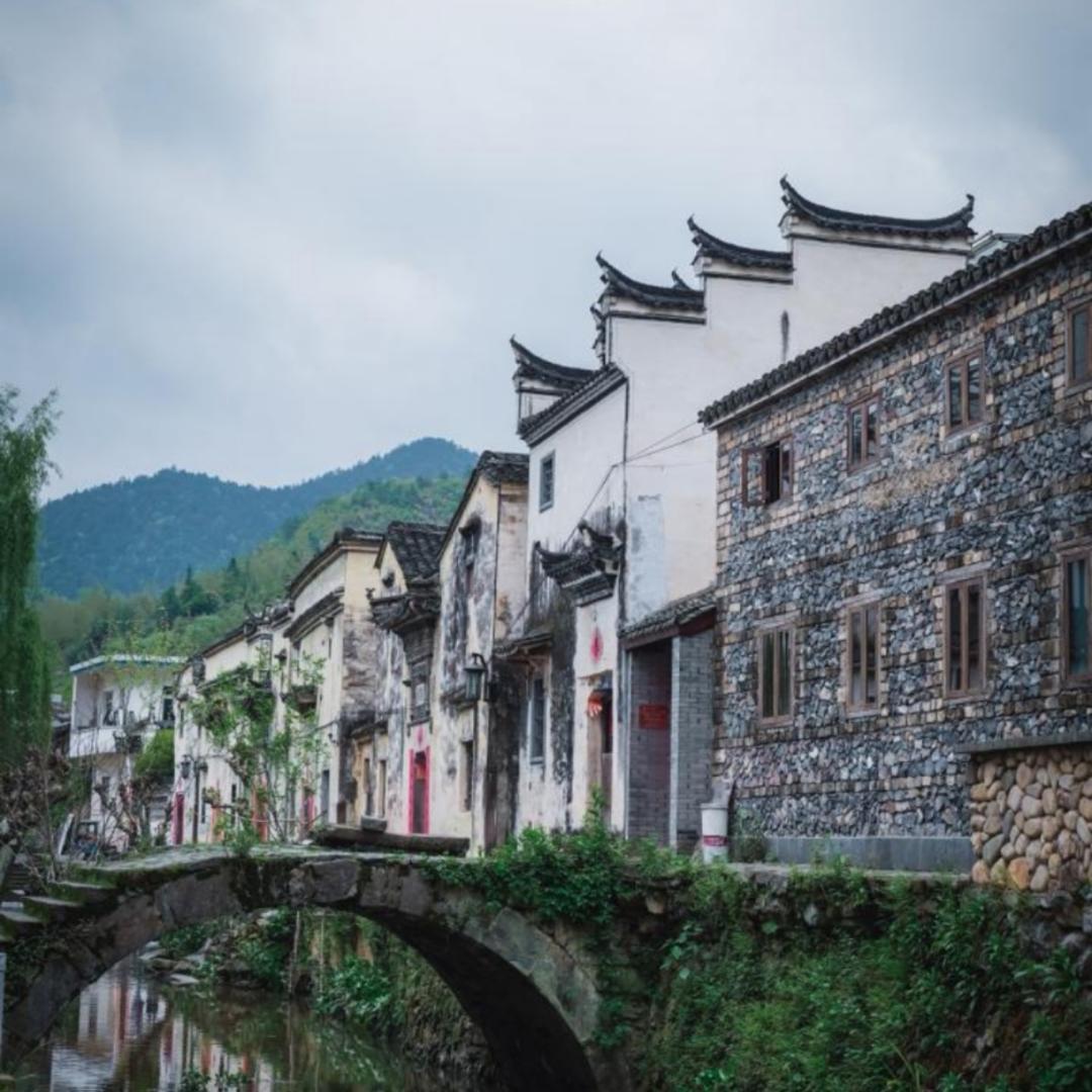 胡萝卜炸酱面