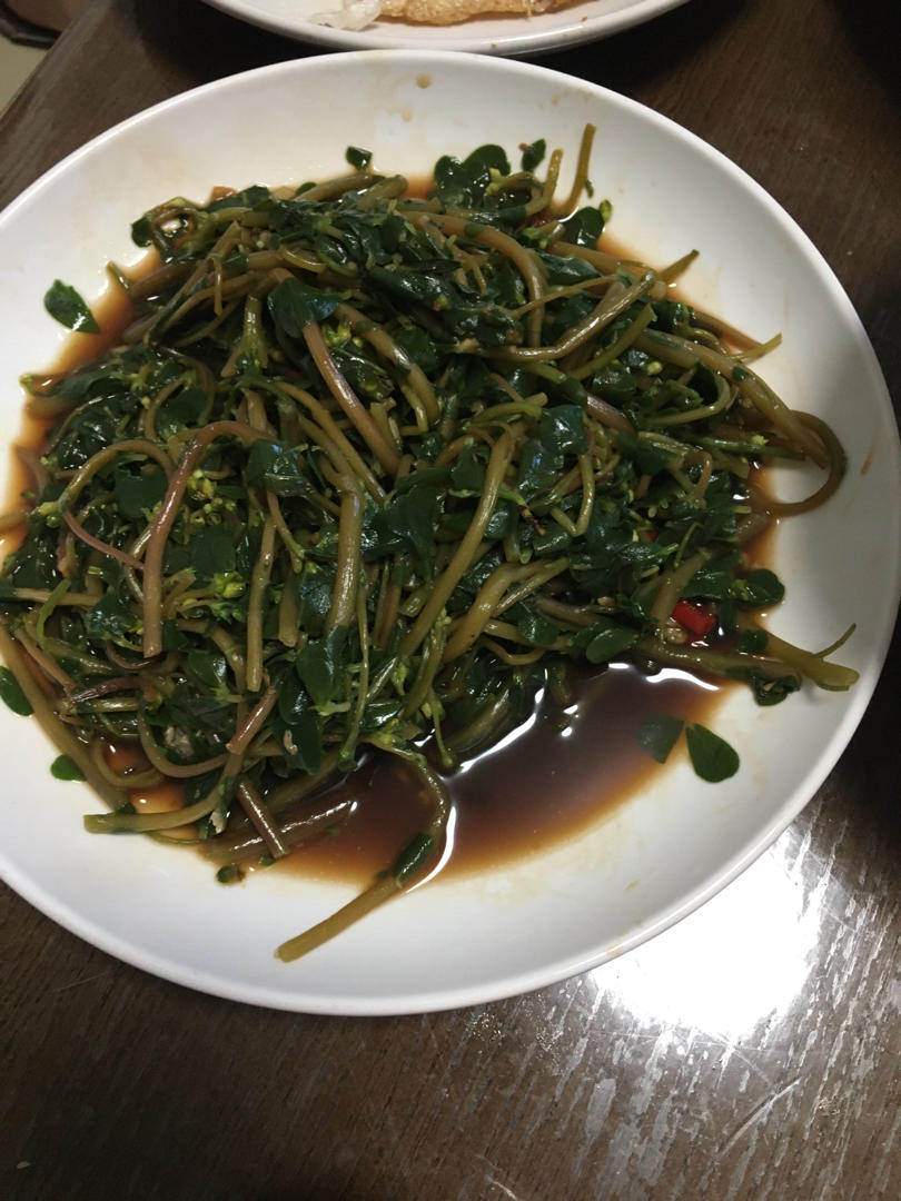 凉拌马马菜（凉拌马齿苋）