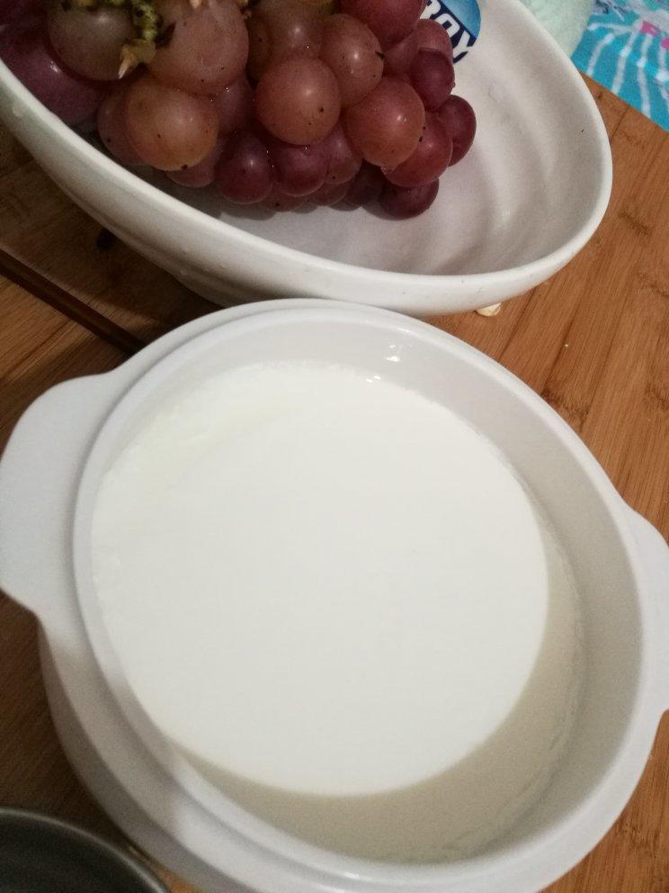 电炖盅自制酸奶的全部作品