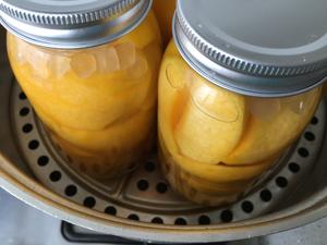 黄桃罐头的做法 步骤18