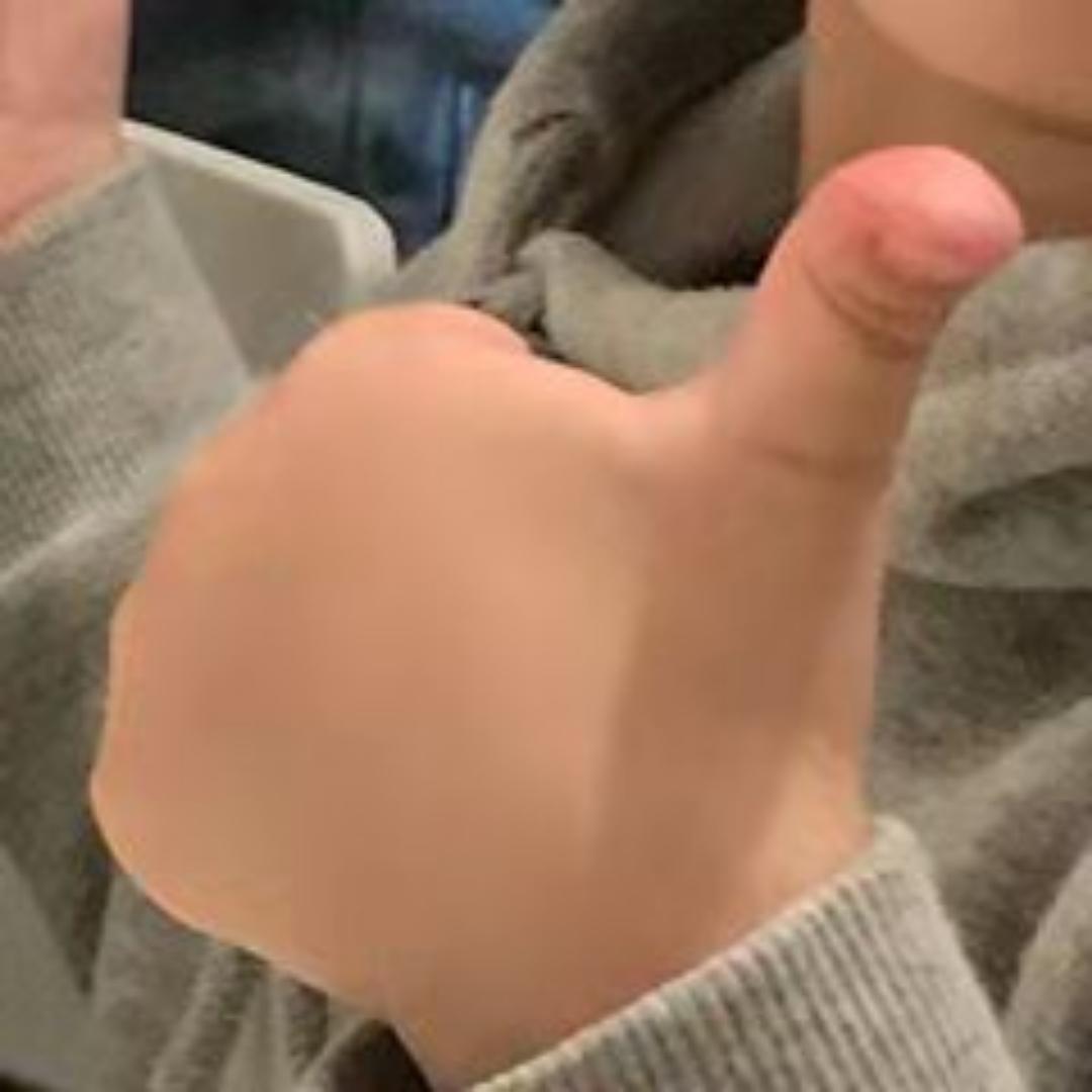 树懒耶