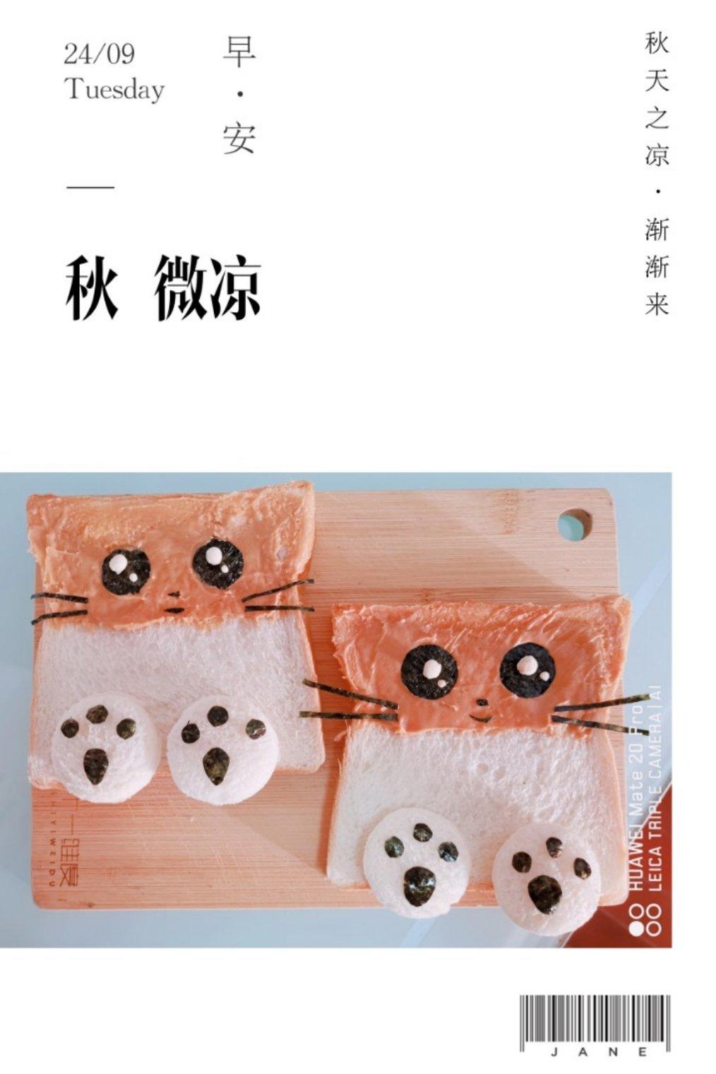 萌萌哒吐司创意