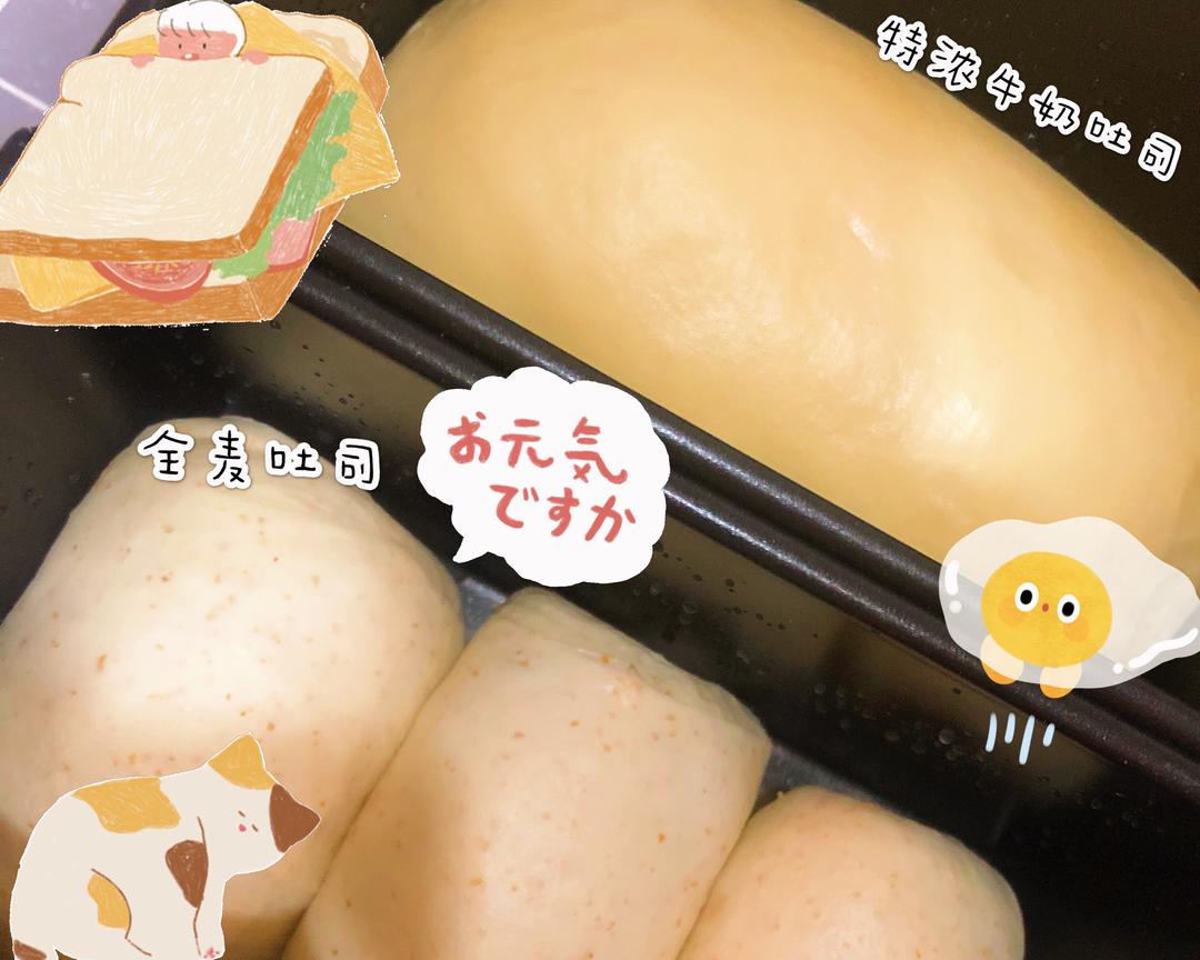 纯奶手撕吐司的做法 步骤1