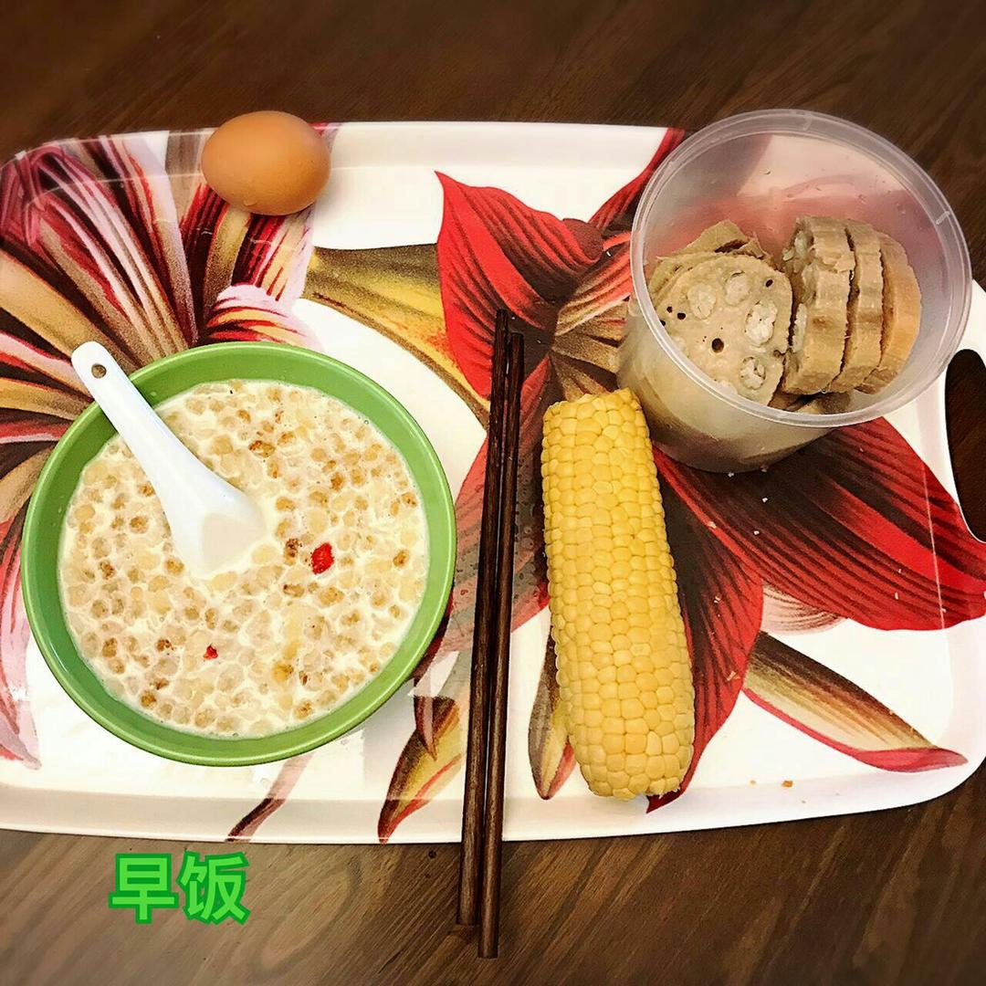六点起床喂兔兔
