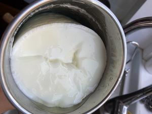 自制无糖脱脂酸奶，口感不输奶油冰淇淋/热量估算公式的做法 步骤7