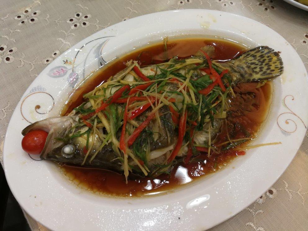 超入味清蒸鱼～清蒸鲈鱼桂花鱼（家常独创）
