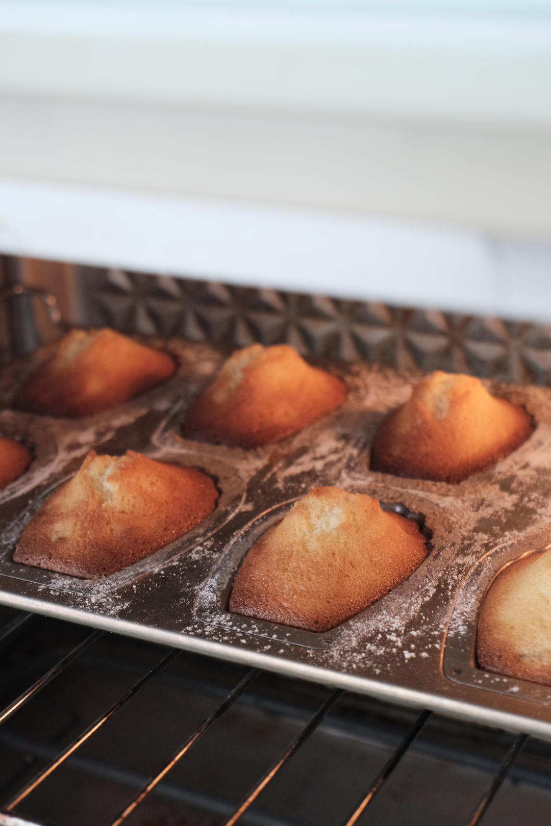 柑橘椰香玛德琳