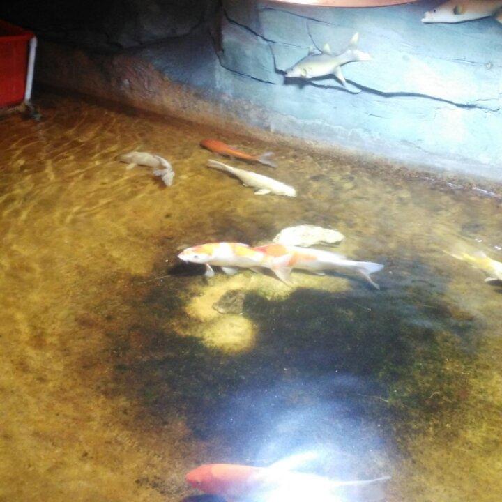 手机用户1456_pwlm