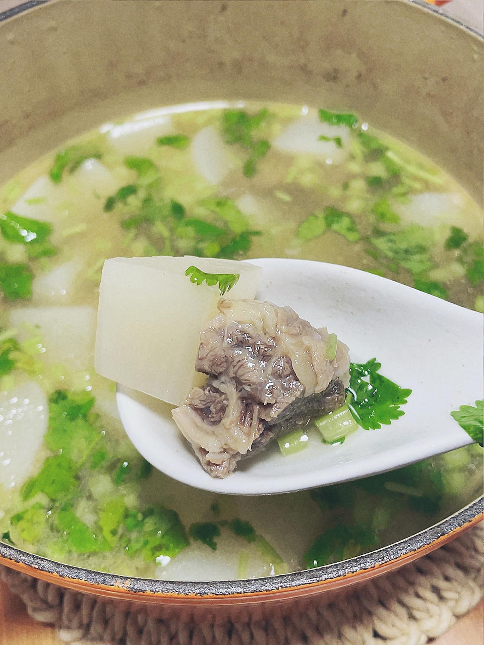 清炖萝卜牛腩汤（铸铁锅版）