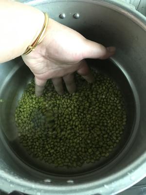 解暑绿豆汤(简易家庭版) 高压锅的做法 步骤2