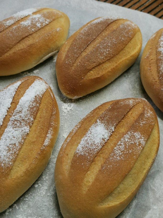 治愈系之蜂蜜奶油哈斯