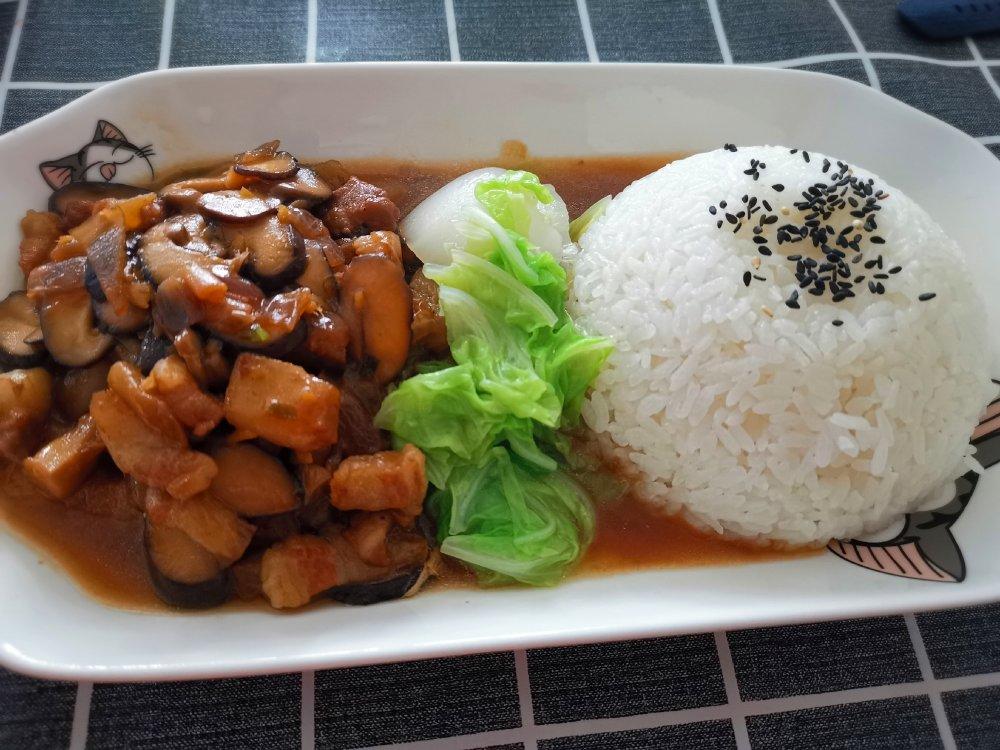 洋葱酥卤肉饭