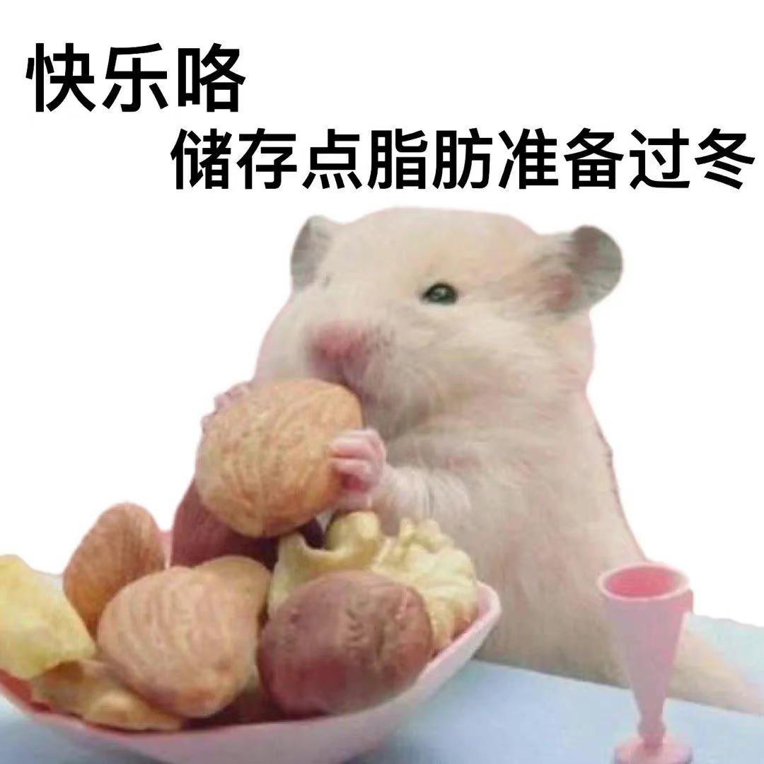 吃草的仓鼠
