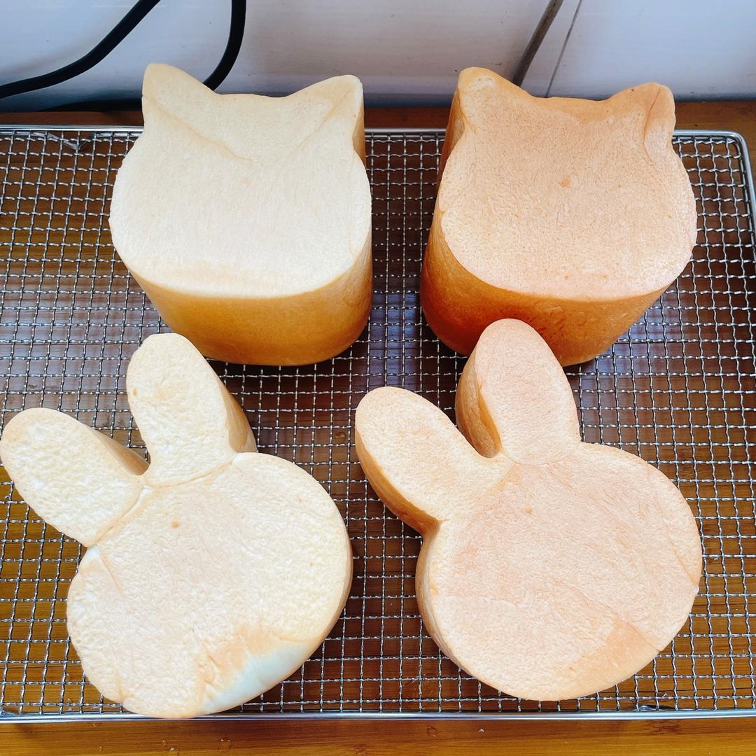 猫脑壳与兔脑壳