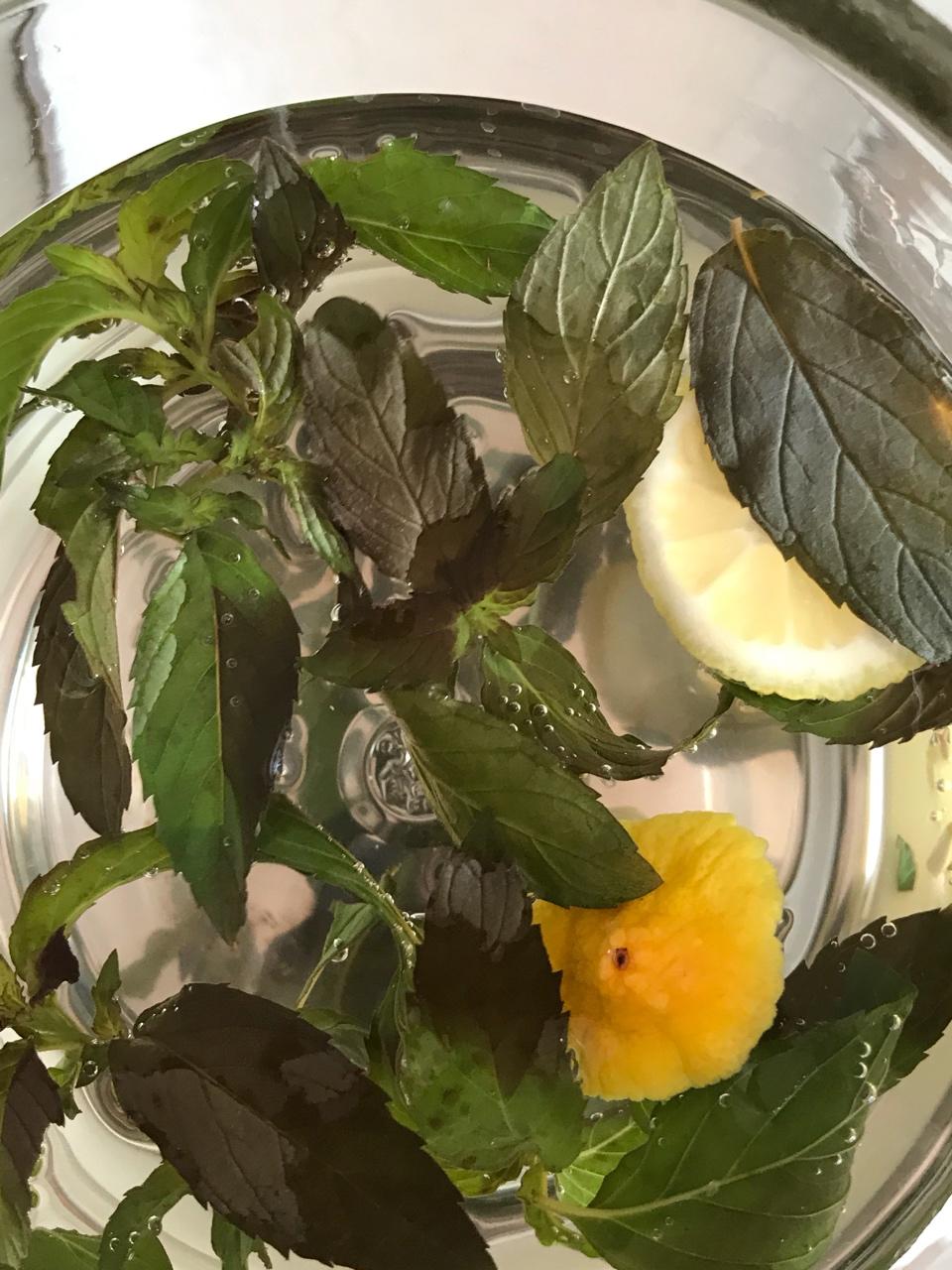 柠檬薄荷饮