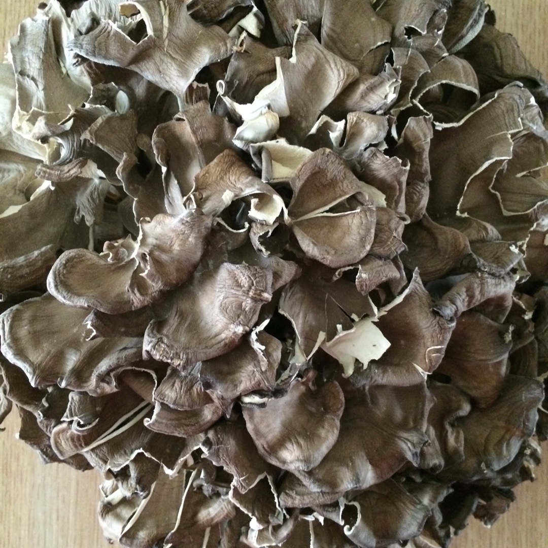 有风吹过的夏日分享作品午餐612016年5月6日天花菌,又叫树花,据说