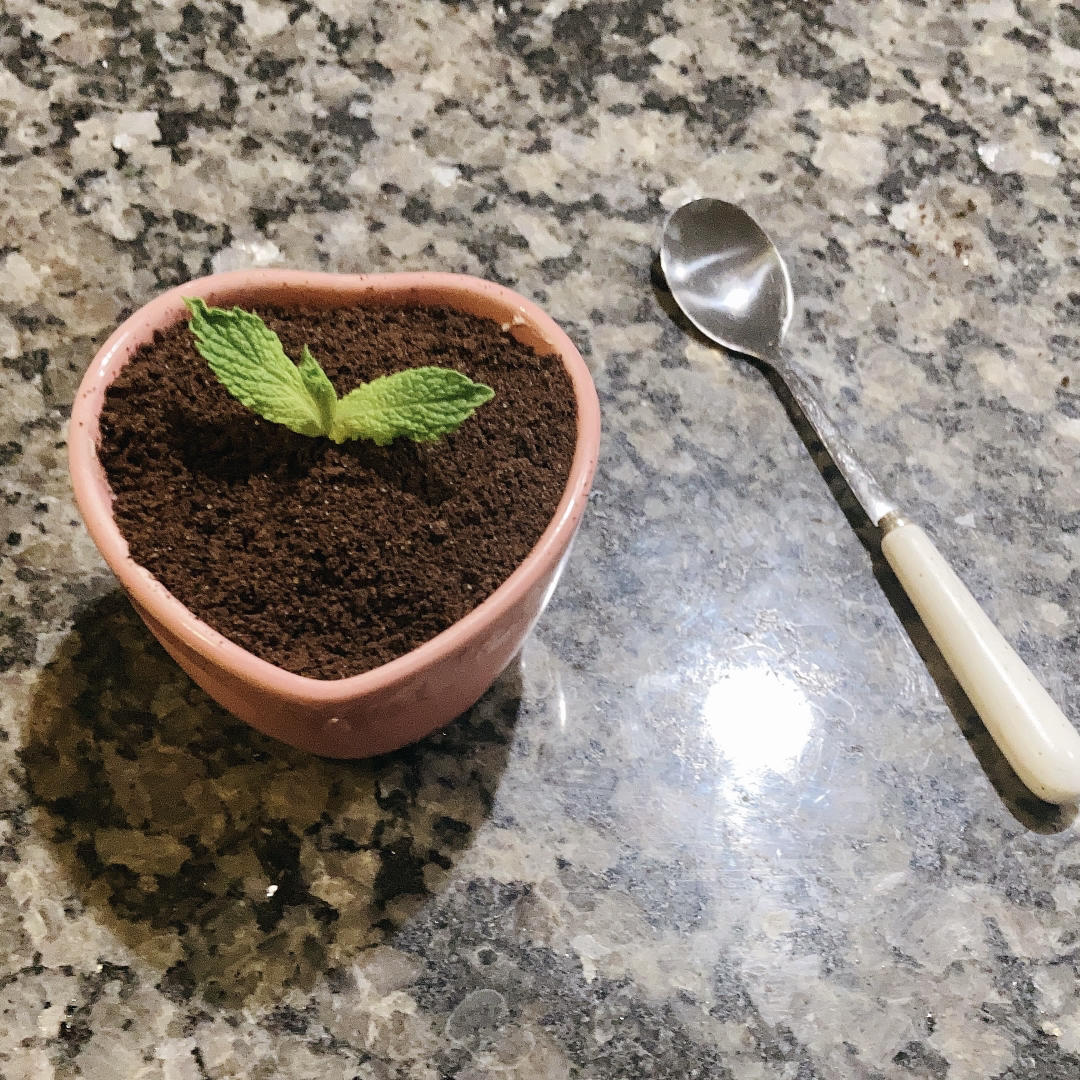 芒果慕斯杯盆栽