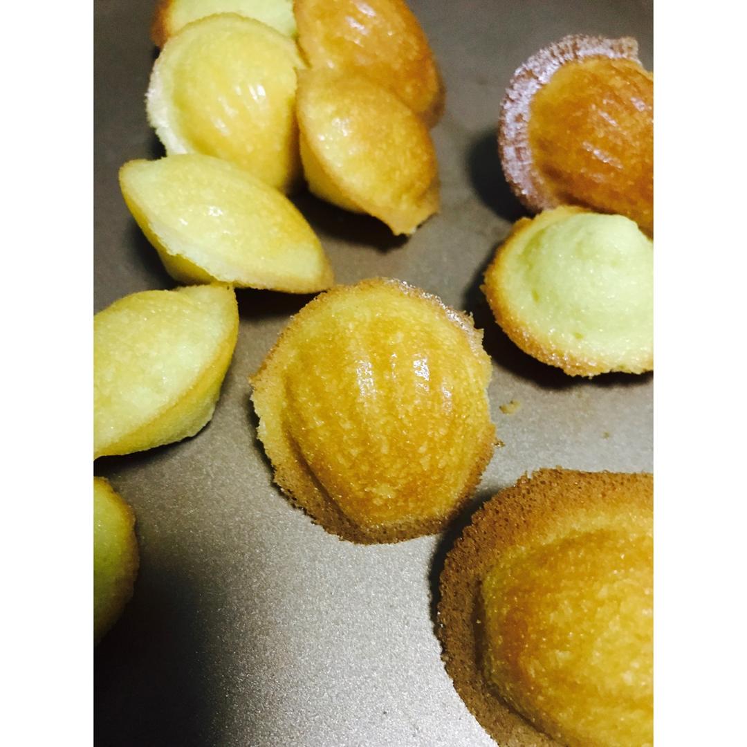 玛德琳（蓝带方）