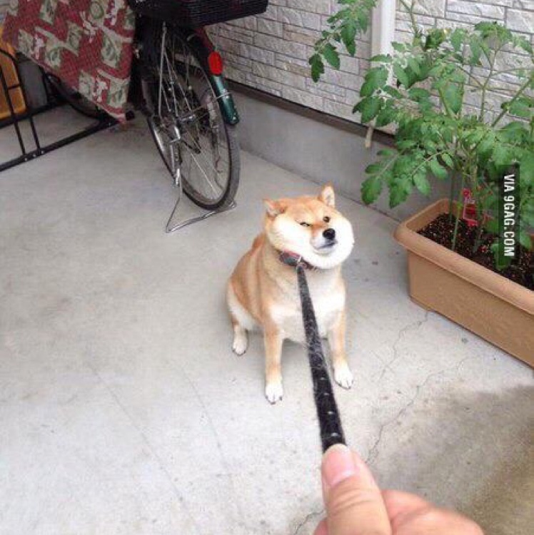 僵尸粉粉儿儿儿