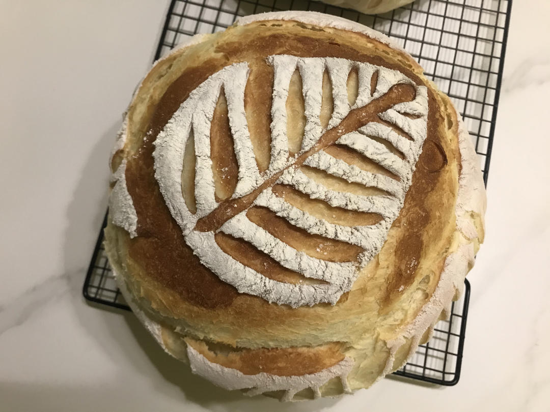 视频教程 天然酵种欧包 基础配方＆制作流程