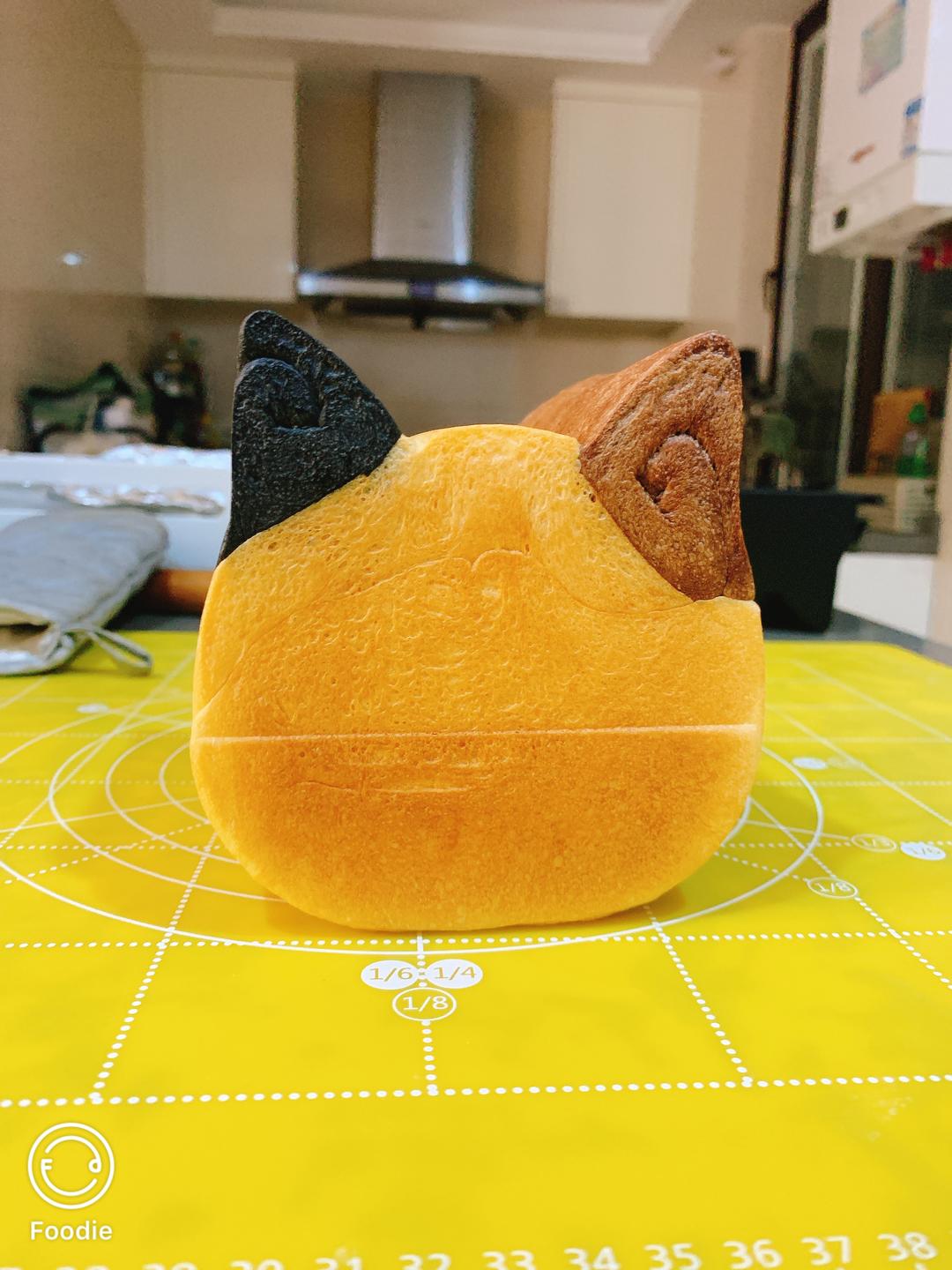 双色耳猫咪吐司的做法