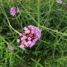 手机用户0513_76p8