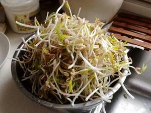 黄瓜绿豆芽干豆腐丝凉菜的做法 步骤1