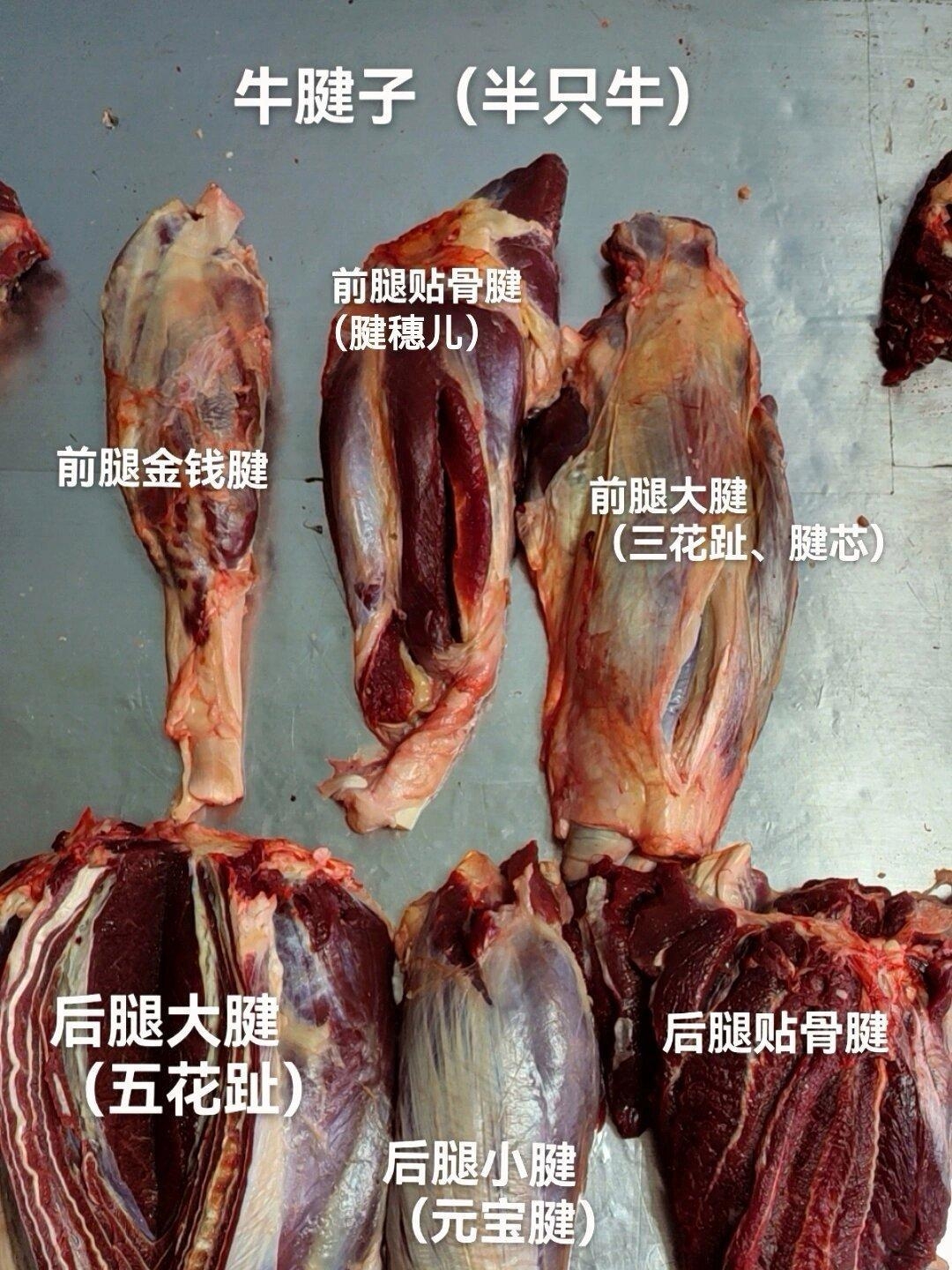 牛肉的部位图解与做法(来自度娘)的做法 步骤36