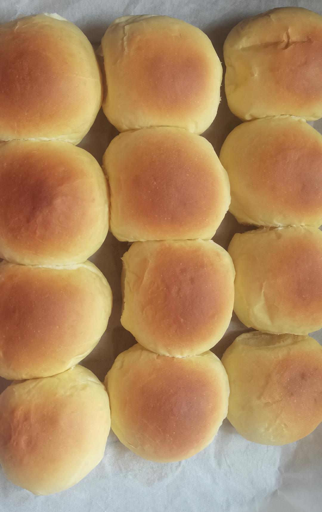 最好吃的餐包--鲜奶大餐包